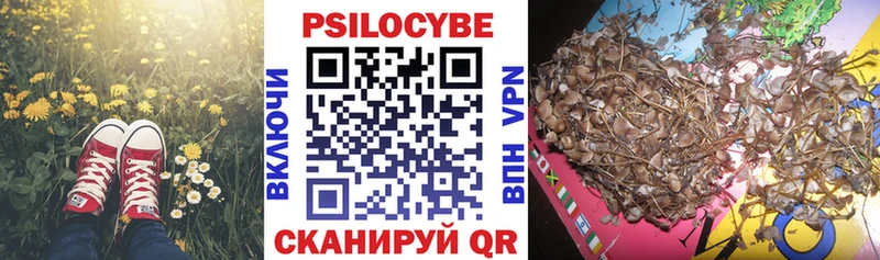 Галлюциногенные грибы MAGIC MUSHROOMS как найти Нелидово